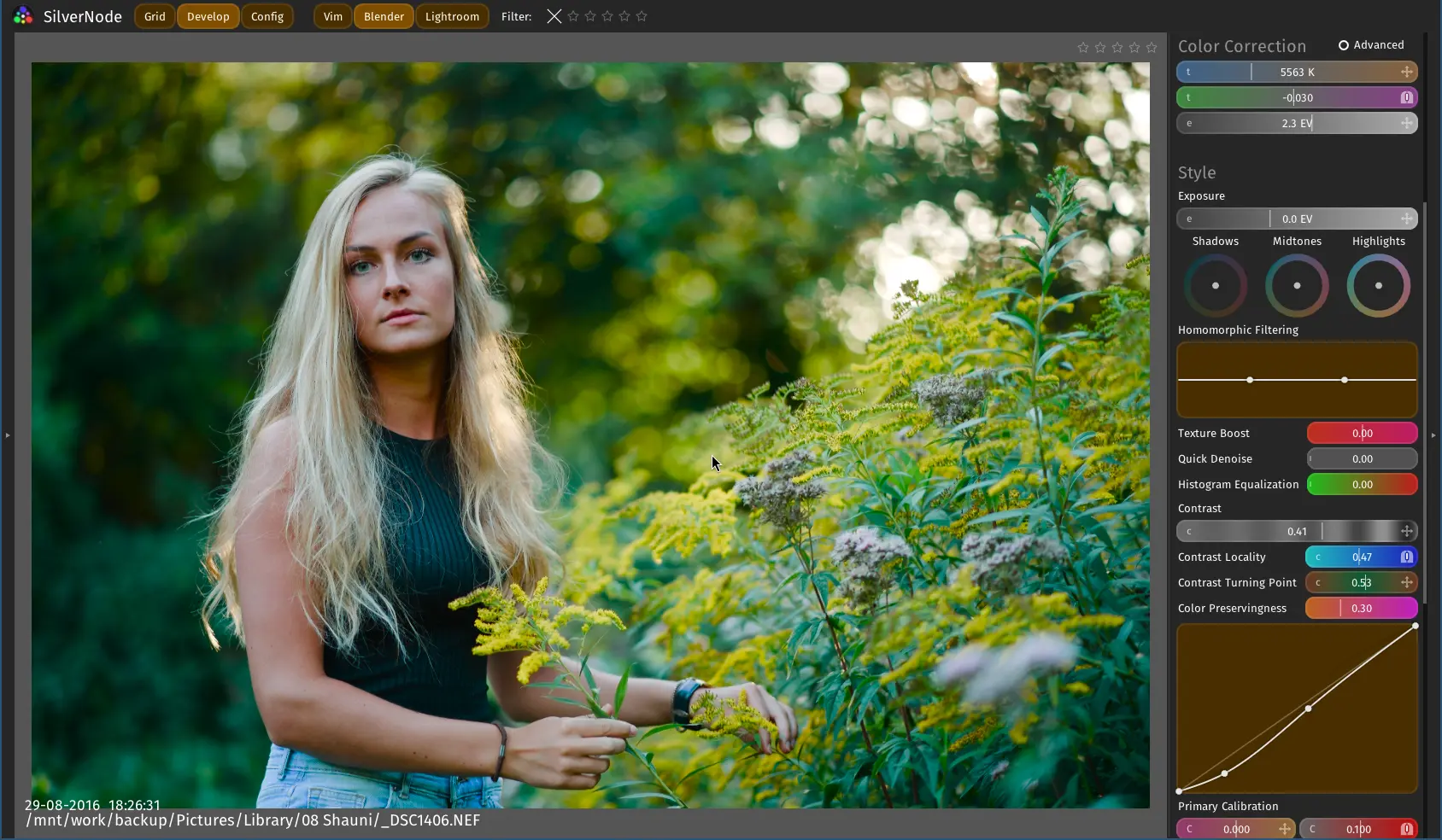 SilverNode Develop Workspace