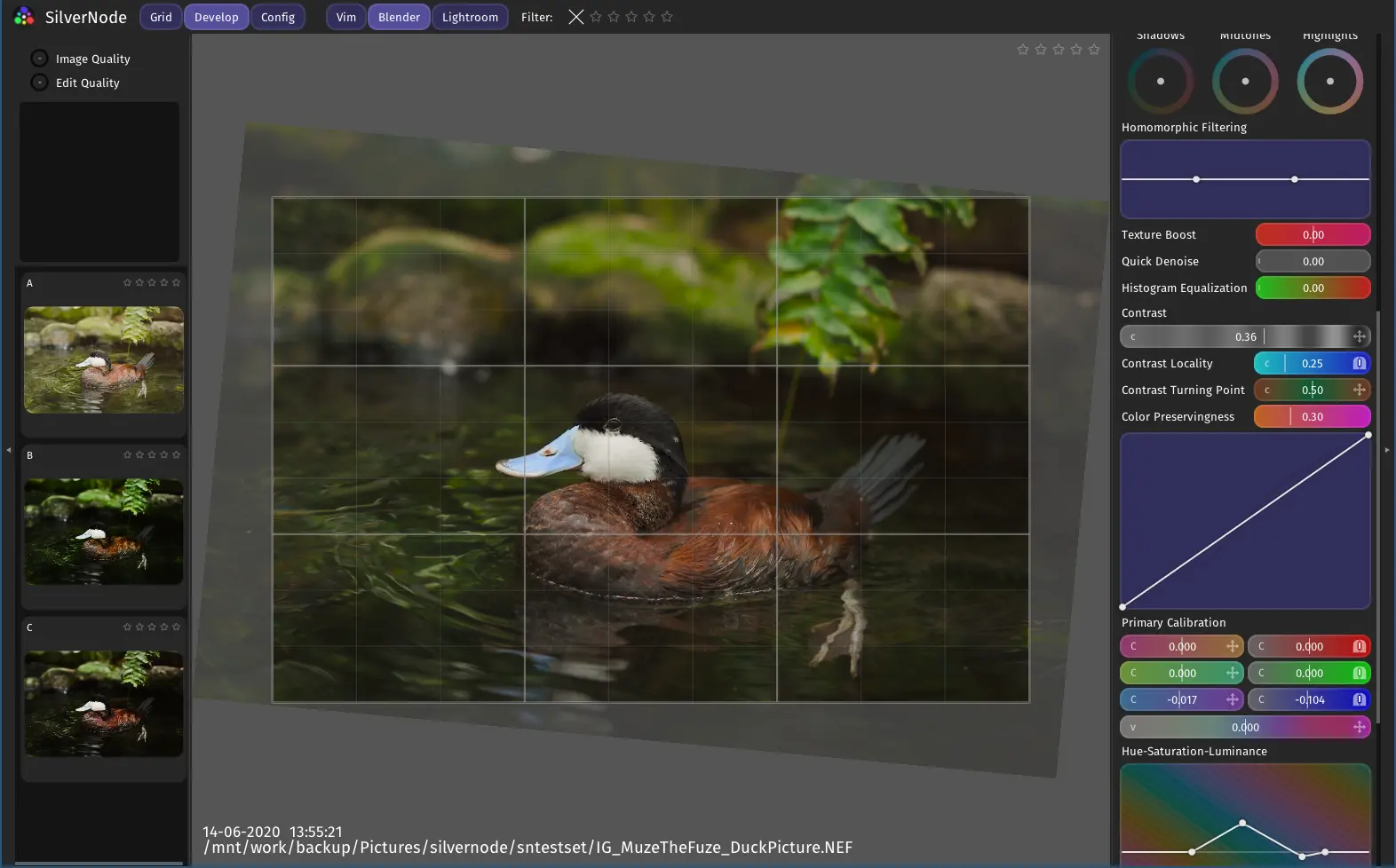 SilverNode Develop Workspace while Cropping