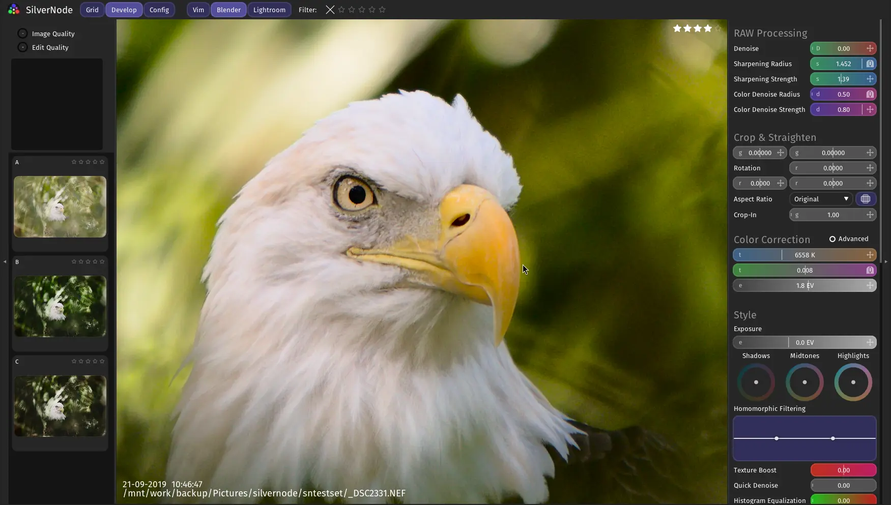 SilverNode Develop Workspace while Zoomed In